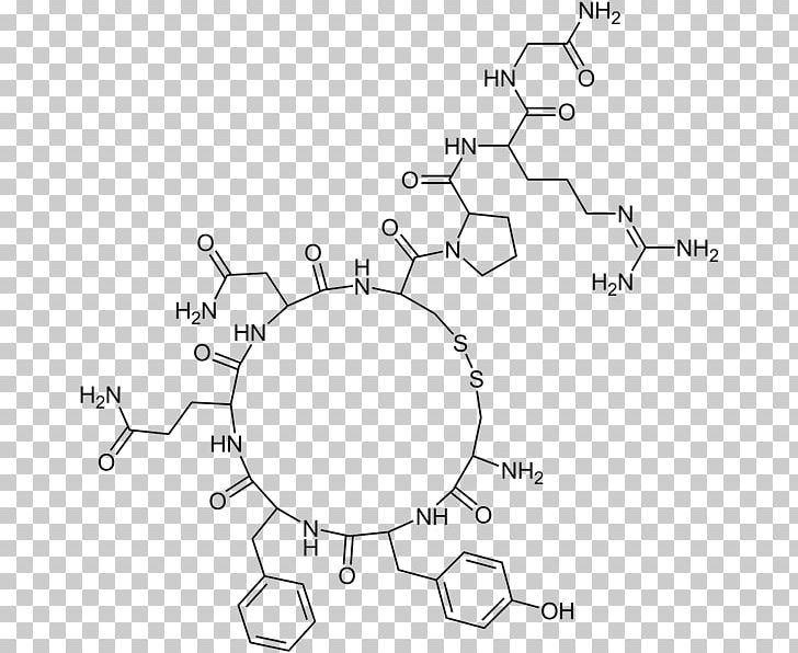 Vasopressin Antidiuretic Molecule Hormone Chemistry PNG, Clipart, Amino Acid, Angle, Antidiuretic, Area, Atom Free PNG Download