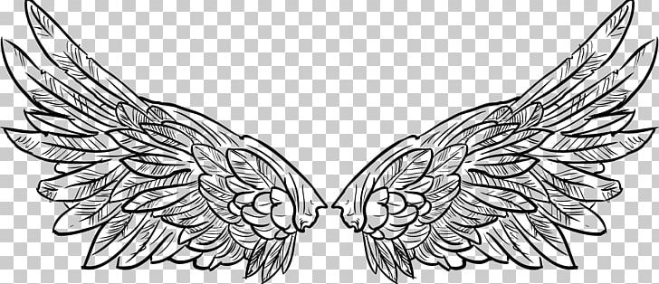 Wing Visual Arts Black And White PNG, Clipart, Angel Wing, Angel Wings, Arm, Arms, Arms Vector Free PNG Download