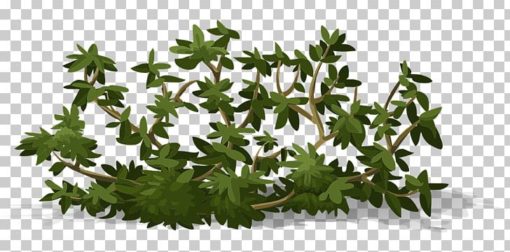 Shrub Tree Rose PNG, Clipart, Animation, Bush, Grass, Groundcover, Leaf Free PNG Download