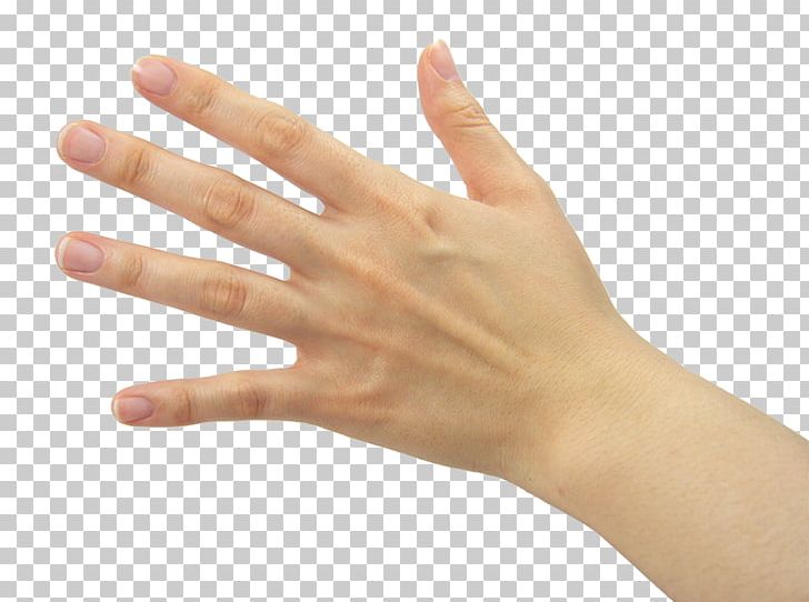 Thumb Nail Hand Model Manicure Png Clipart Arm Asi Business