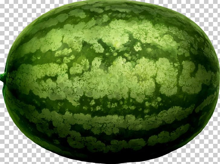 Watermelon Honeydew PNG, Clipart, Berry, Cantaloupe, Citrullus, Cucumber Gourd And Melon Family, Cucurbita Free PNG Download
