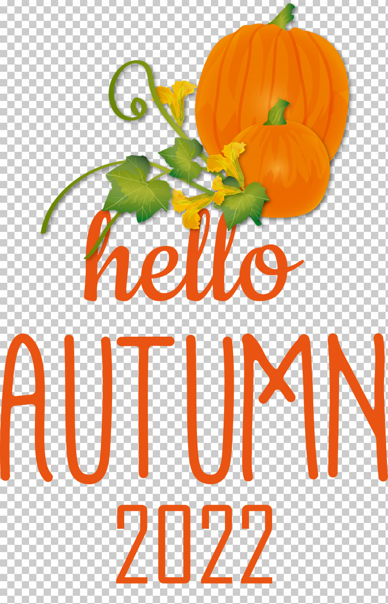 Pumpkin PNG, Clipart, Flower, Fruit, Local Food, Natural Food, Orange Free PNG Download