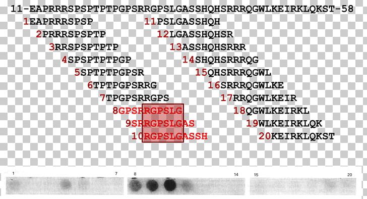 Document Line Angle Brand PNG, Clipart, Angle, Area, Art, Brand, Diagram Free PNG Download