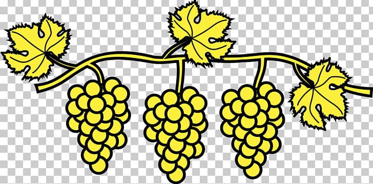 Heraldry Vigne Drawing Common Grape Vine PNG, Clipart, Artwork, Black And White, Cartoon, Commodity, Common Grape Vine Free PNG Download