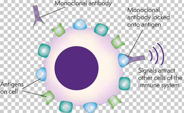 Monoclonal Antibody Therapy Antibody-dependent Cell-mediated Cytotoxicity PNG, Clipart, Antibody, Blue, Electronics, Eye, Line Free PNG Download