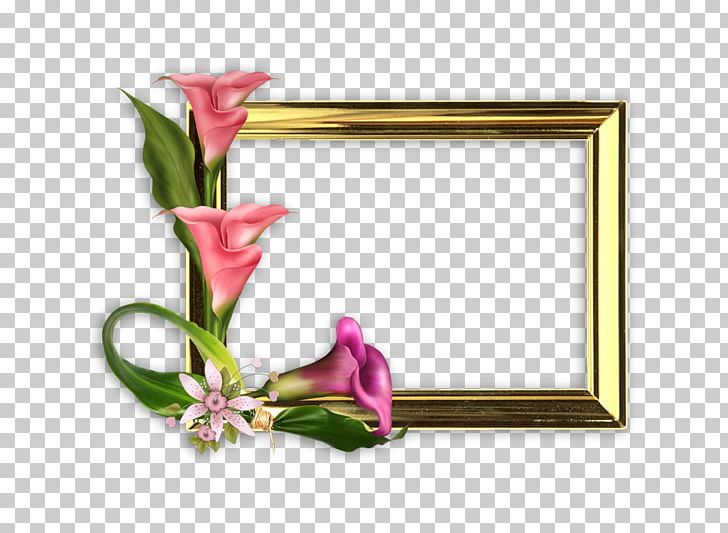 Mother's Day Photography Frames PNG, Clipart, Child, Cut Flowers, Father, Fathers Day, Flora Free PNG Download