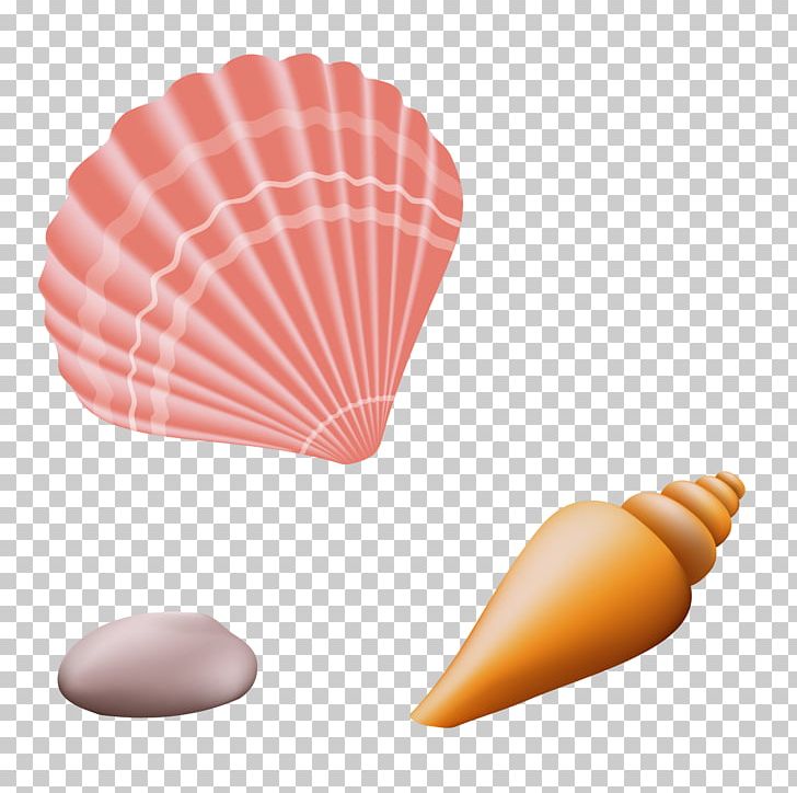 Shell Beach PNG, Clipart, Adobe Illustrator, Artworks, Beach, Beaches, Beach Party Free PNG Download