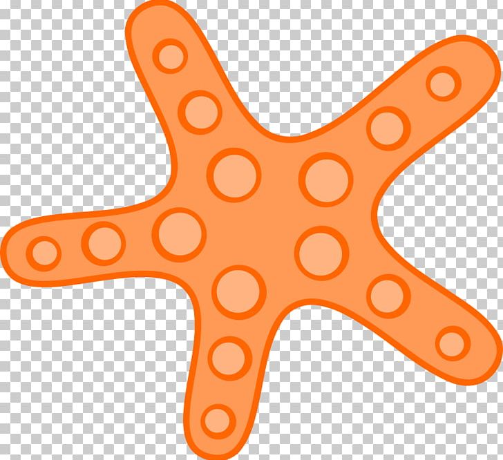 Starfish Ocean PNG, Clipart, Common Starfish, Echinoderm, Invertebrate, Linckia Laevigata, Line Free PNG Download