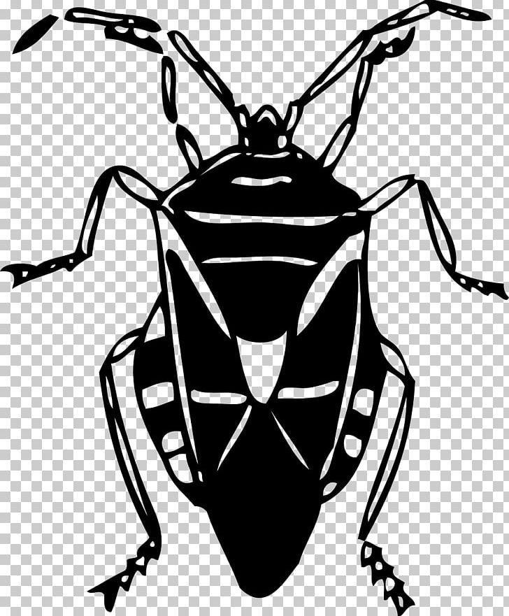 Beetle PNG, Clipart, Amphibian, Animals, Artwork, Beetle, Black And White Free PNG Download