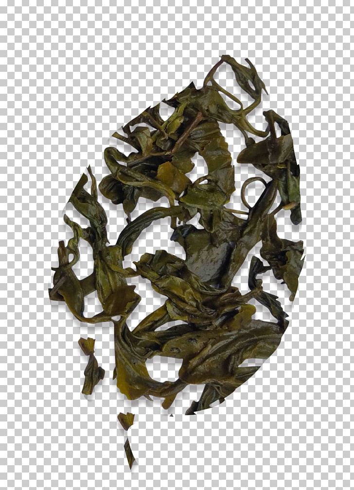 Nilgiri Tea Assam Tea Camellia Sinensis Oolong PNG, Clipart, Assam Tea, Bai Mudan, Bancha, Camellia Sinensis, Ceylon Tea Free PNG Download