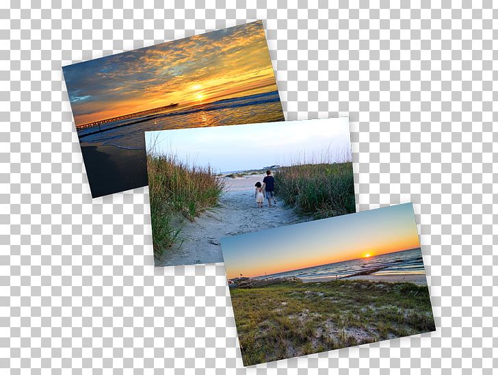 The Lachicotte Company DeBordieu Real Estate Pawleys Island & Litchfield Business Association Beach PNG, Clipart, Beach, Heat, House, Landscape, Others Free PNG Download