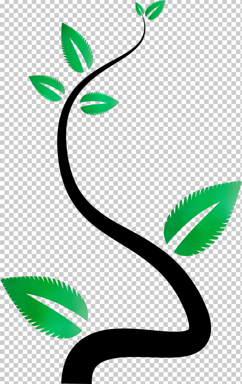 Plant Stem Leaf Green Line Area PNG, Clipart, Area, Biology, Ecology, Environmental Protection, Green Free PNG Download