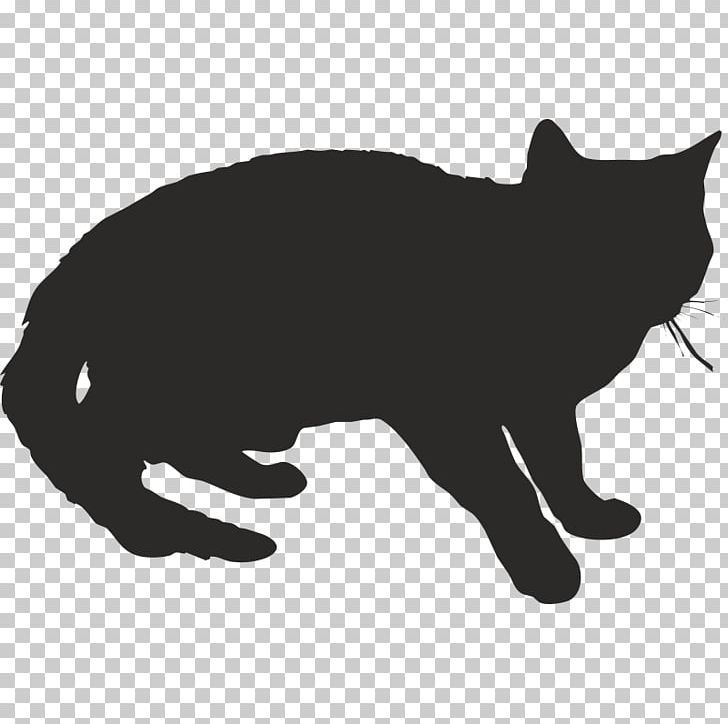 Cat Kitten PNG, Clipart, Animals, Art, Black, Black, Black Cat Free PNG Download