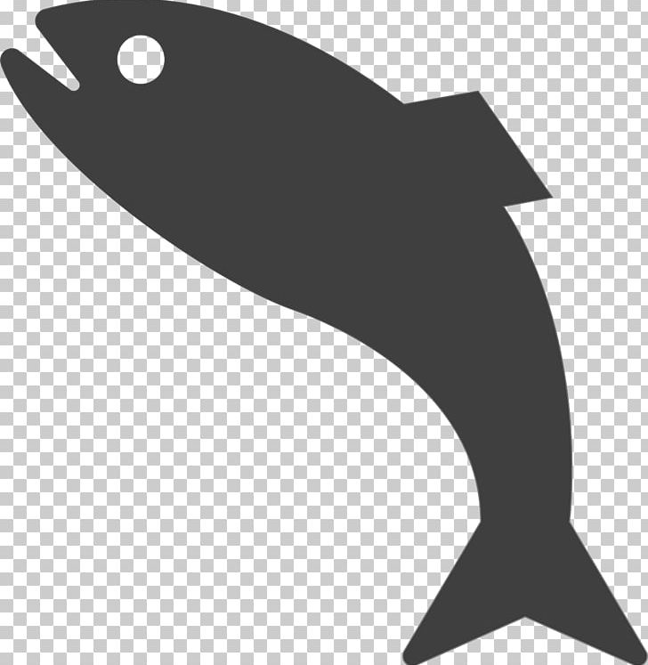 Fish PNG, Clipart, Angle, Animals, Bass, Beak, Black And White Free PNG Download