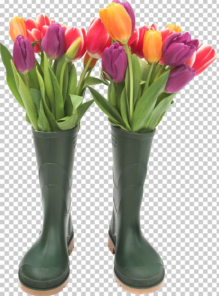 Slipper Galoshes Wellington Boot Footwear PNG, Clipart, Accessories, Artificial Flower, Boot, Clothing, Cut Flowers Free PNG Download