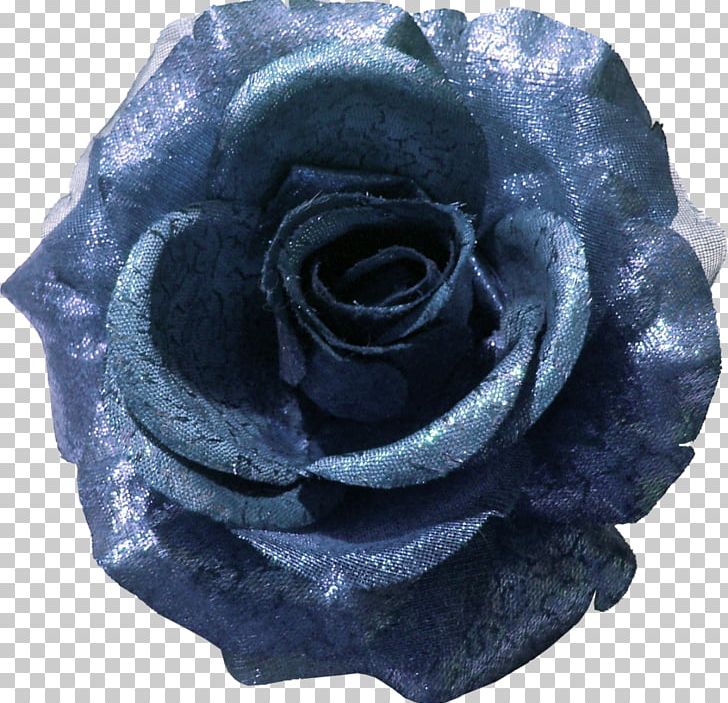 Blue Rose Garden Roses Flower PNG, Clipart, Blue, Blue Rose, Centifolia Roses, Cut Flowers, Flower Free PNG Download