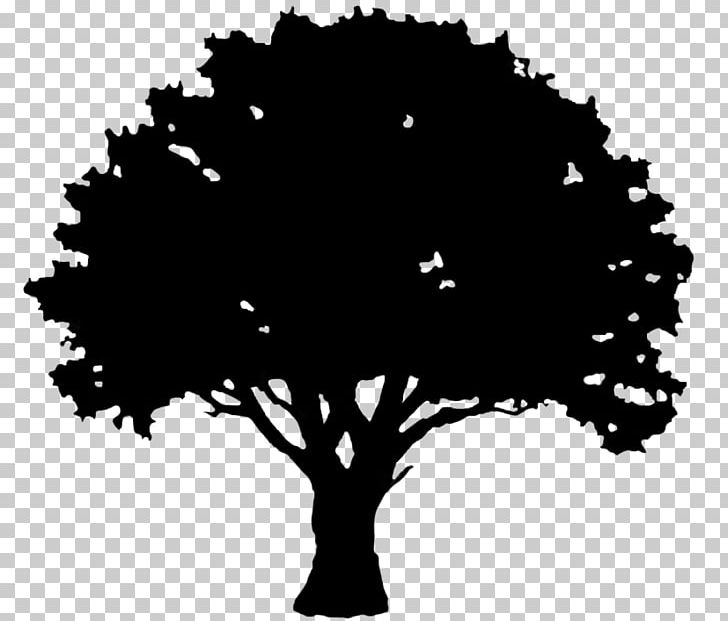 English Oak Tree Silhouette PNG, Clipart, Acorn, Black, Black And White, Branch, Clip Art Free PNG Download