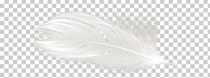 White Feather Yandex Search PNG, Clipart, Animals, Black And White, Consciousness, Feather, Liveinternet Free PNG Download
