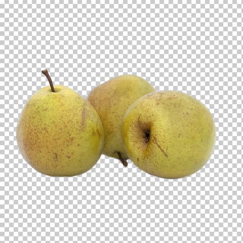 Asian Pear Apple Fahrenheit Pear PNG, Clipart, Apple, Asian Pear, Fahrenheit, Pear Free PNG Download