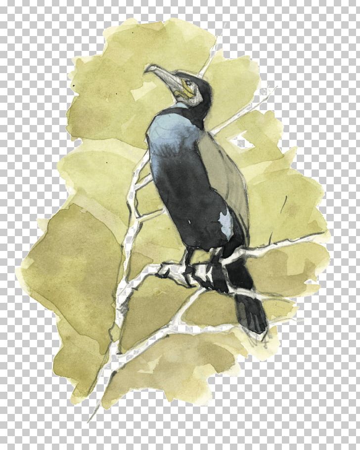 Beak Bird Fauna Hornbill PNG, Clipart, Beak, Bird, Crow Like Bird, Fauna, Grand Master Free PNG Download