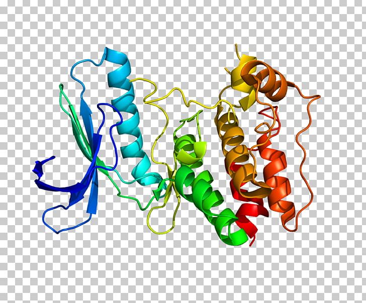 Protein Kinase TTK Kalirin Gene PNG, Clipart, Art, Dualspecificity Kinase, Dynein, Enzyme, Gene Free PNG Download