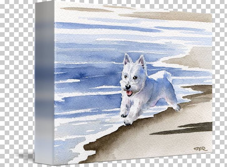 West Highland White Terrier Dog Breed Painting Frames PNG, Clipart, Art, Breed, Carnivoran, Dog, Dog Breed Free PNG Download