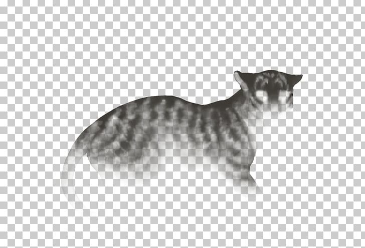 Whiskers Leopon Lion Felidae Manx Cat PNG, Clipart, Animals, Black And White, Carnivoran, Cat, Cat Like Mammal Free PNG Download
