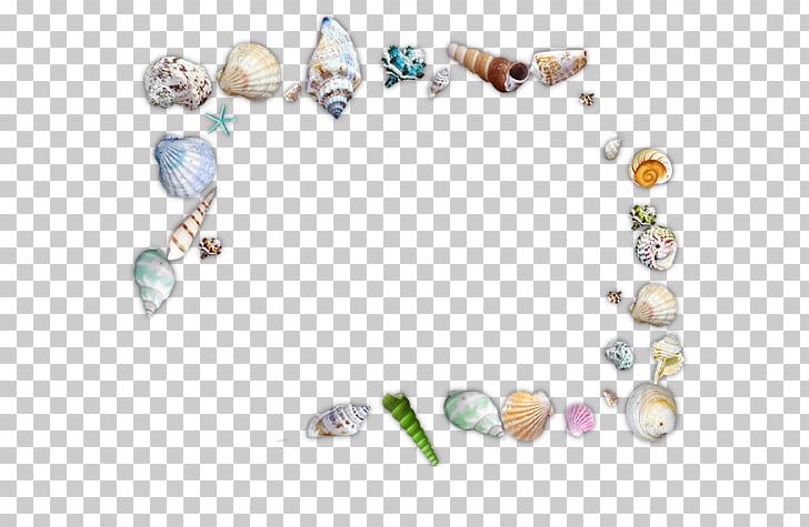 Seafood Seashell Sea Snail PNG, Clipart, Beach, Body Jewelry, Circle, Conch, Conch Free PNG Download