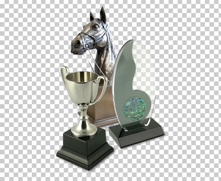 Shepton Mallet Trophy Award British Gymnastics Radstock PNG, Clipart, Award, Birthday, British Gymnastics, Competition, Cup Free PNG Download