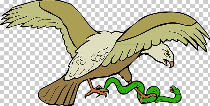 Snakes Bald Eagle Open PNG, Clipart, Animal Figure, Artwork, Bald Eagle, Beak, Bird Free PNG Download