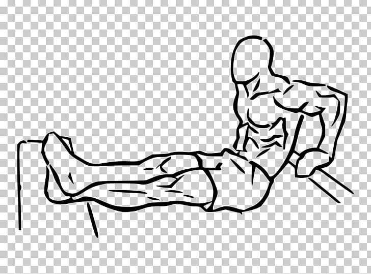 Triceps Brachii Muscle Dip Lying Triceps Extensions Exercise Bench PNG, Clipart, Abdomen, Angle, Arm, Black, Cartoon Free PNG Download