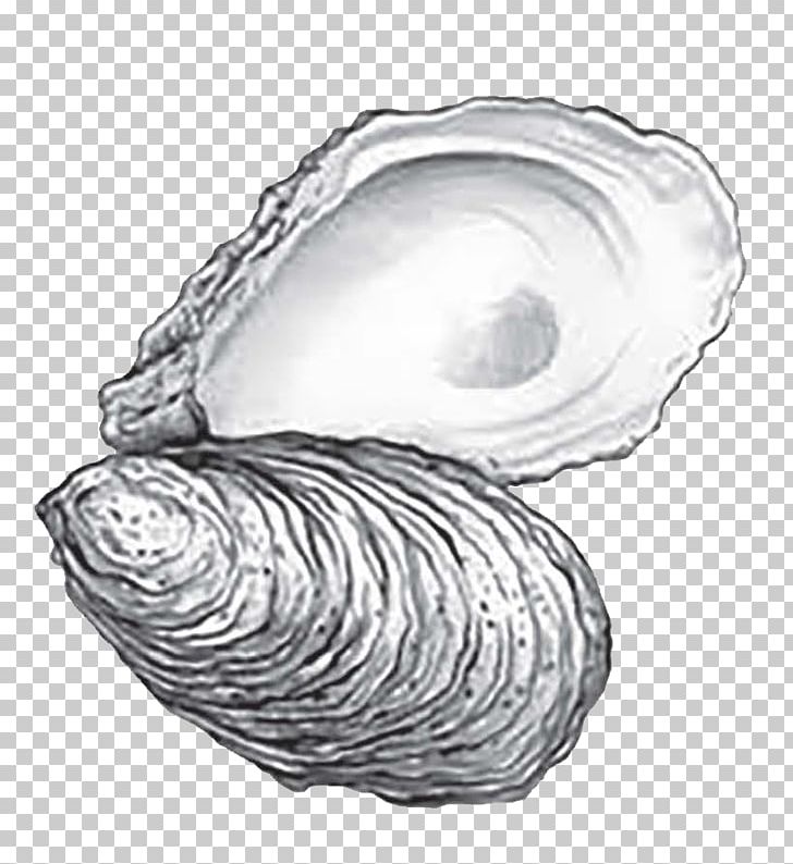 Eastern Oyster Cape Fear CREW: 2018 Annual Oyster Roast Drawing Sketch PNG, Clipart, Animals, Black And White, Chesapeake Bay, Clam, Clams Oysters Mussels And Scallops Free PNG Download