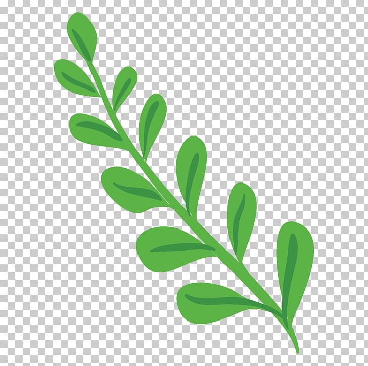 Flower Plant Stem PNG, Clipart, Bang, Branch, Carnation, Commons, Creative Commons Free PNG Download