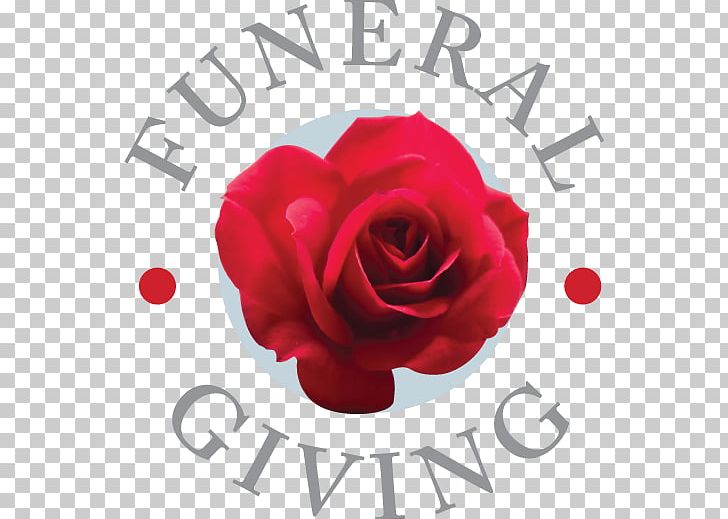 Online Memorial Garden Roses Organization PNG, Clipart,  Free PNG Download