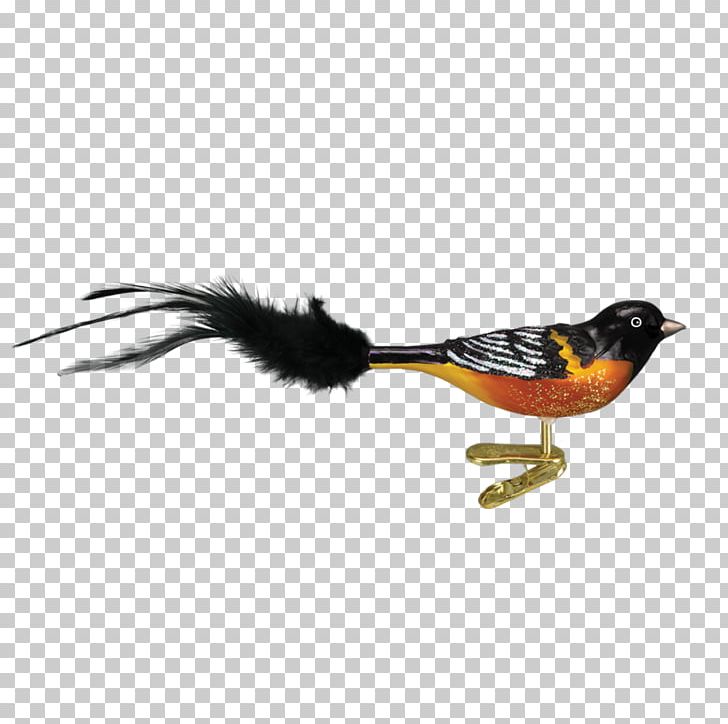 Bird Baltimore Oriole Christmas Ornament Woodpecker PNG, Clipart, Animals, Baltimore, Baltimore Oriole, Beak, Bird Free PNG Download