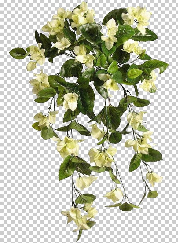 Cut Flowers Plant Stem Flowering Plant PNG, Clipart, Bougainvillea, Branch, Branching, Cut Flowers, Flower Free PNG Download