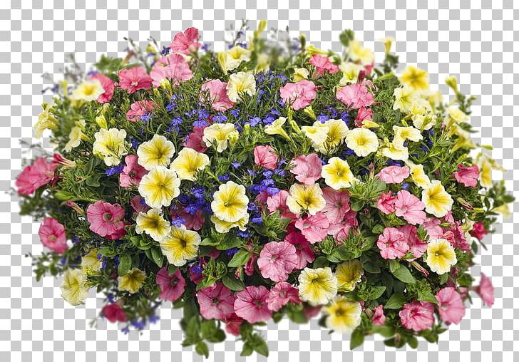 Floral Design Flowerpot Garden Petunia PNG, Clipart, Annual Plant, Artificial Flower, Basket, Calibrachoa, Cut Flowers Free PNG Download