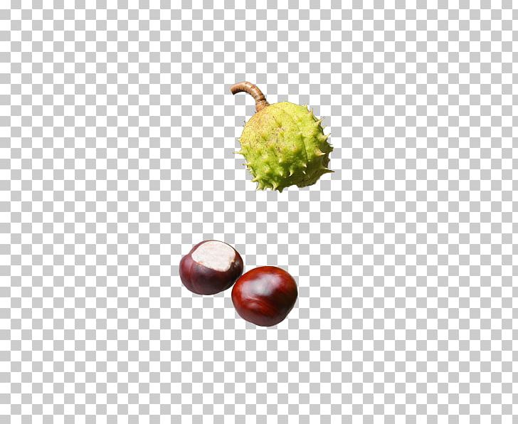 European Horse-chestnut Aesculus Hippocastanum F. Baumanii Tree Food PNG, Clipart, Autumn Leaf Color, Chestnut, European Horsechestnut, Food, Fruit Free PNG Download