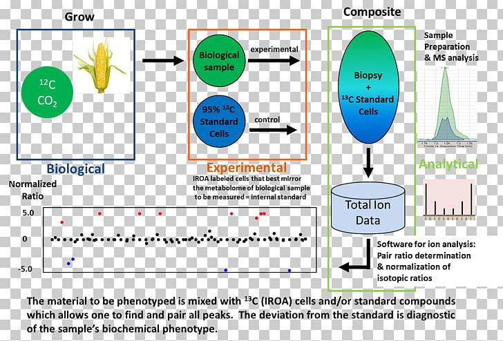 Isotopic Ratio Outlier Analysis Technology Metabolism Science PNG, Clipart, Area, Brand, Communication, Diagram, Discipline Free PNG Download