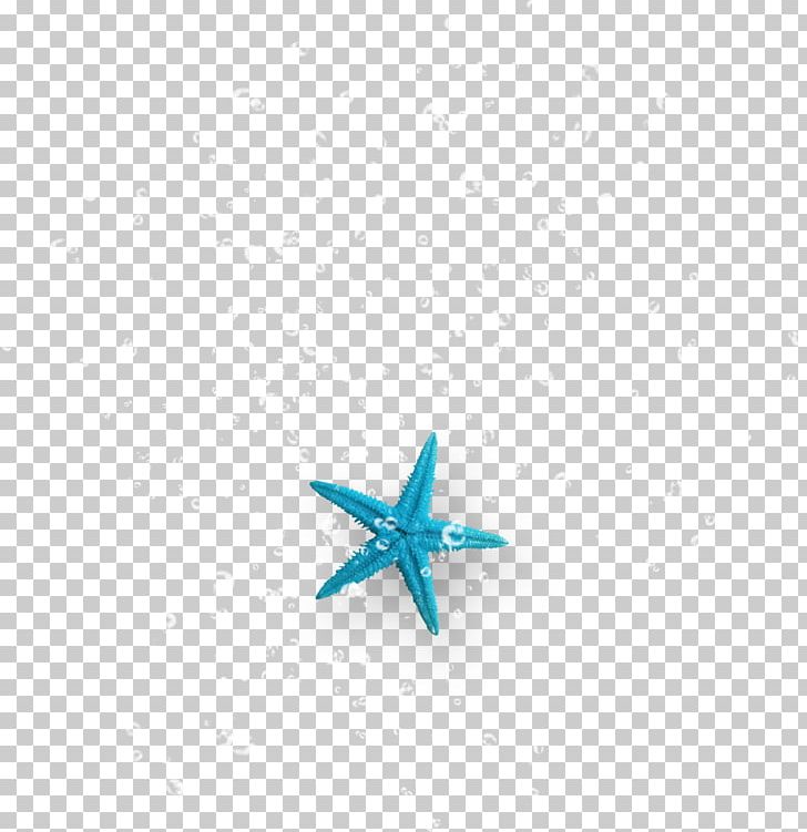 Turquoise Starfish Computer PNG, Clipart, Animals, Aqua, Blister, Blue, Blue Starfish Free PNG Download