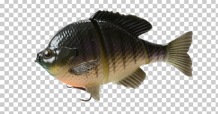 Northern Pike Fishing Baits & Lures Bluegill PNG, Clipart, 3 D, Angling, Bait, Baits, Bass Free PNG Download