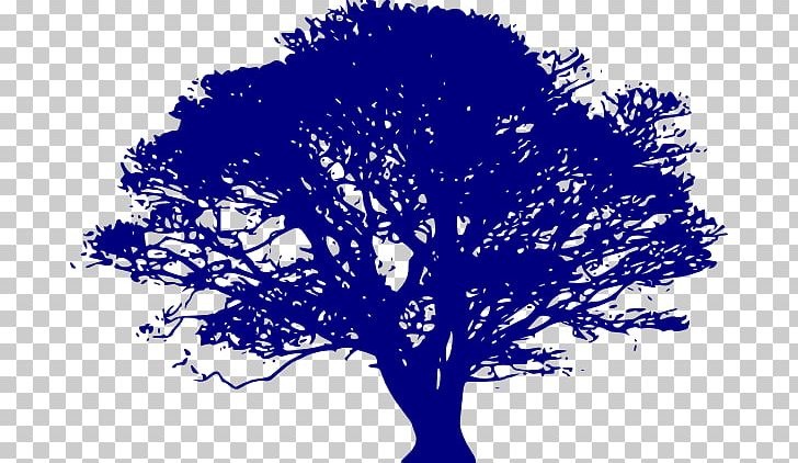 Quercus Suber English Oak Quercus Lobata Tree PNG, Clipart, Black And White, Blue, Blue Family Cliparts, Branch, Computer Icons Free PNG Download