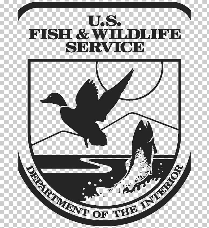 United States Fish And Wildlife Service National Wildlife Refuge Orangutan Fish Migration PNG, Clipart, Animals, Bird, Fauna, Line, Logo Free PNG Download