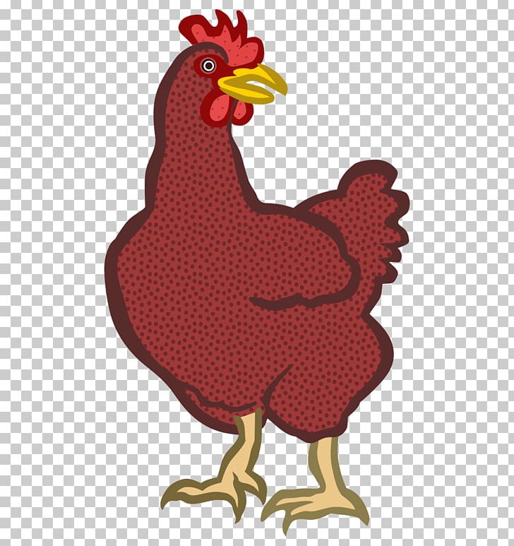 Wyandotte Chicken Kifaranga Fried Chicken PNG, Clipart, Beak, Bird, Chicken, Chicken Meat, Food Drinks Free PNG Download