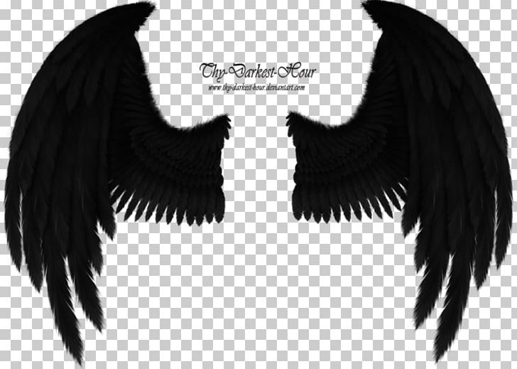 Bird Angel Wing American Crow Cherub PNG, Clipart, American Crow, Angel Wing, Animals, Art, Beak Free PNG Download