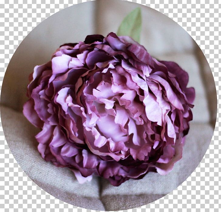 Cabbage Rose Cut Flowers Petal Peony PNG, Clipart, Com, Cut Flowers, Email, Facebook, Flower Free PNG Download