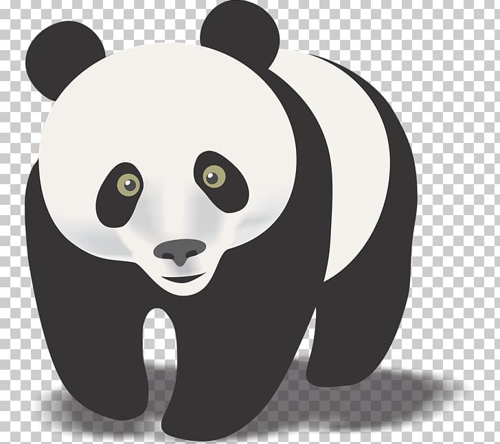 Giant Panda Red Panda Bear PNG, Clipart, Baby Panda Cliparts, Bear, Black And White, Carnivoran, Clip Art Free PNG Download