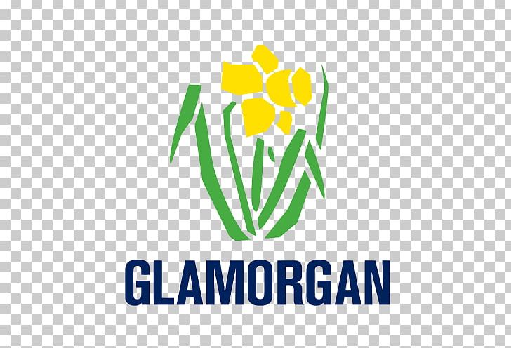 Glamorgan County Cricket Club The SSE SWALEC County Championship Surrey County Cricket Club Somerset County Cricket Club PNG, Clipart, Area, Brand, Cardiff, Community, County Championship Free PNG Download