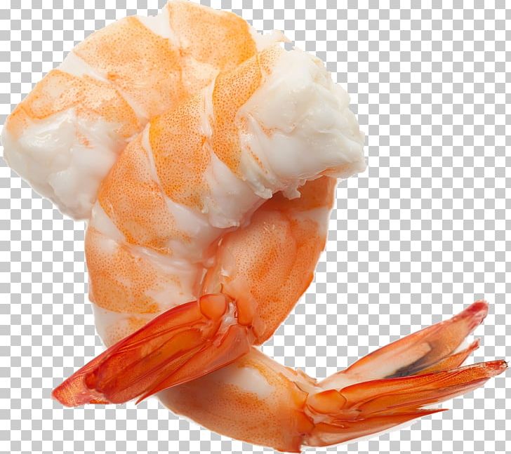 Prawn Cocktail Shrimp Caridea PNG, Clipart, American Lobster, Animals, Animal Source Foods, Caridea, Caridean Shrimp Free PNG Download