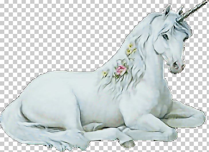 Unicorn Qilin Pegasus Fairy Tale PNG, Clipart, Animal Figure, Being, Fairy Tale, Fantasy, Fictional Character Free PNG Download